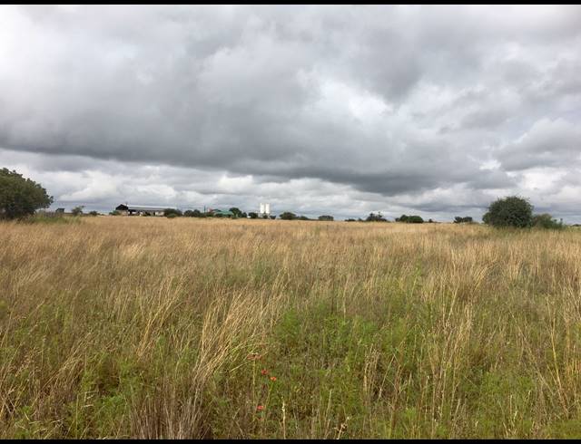 8HA FARM FOR SALE IN DEBRON